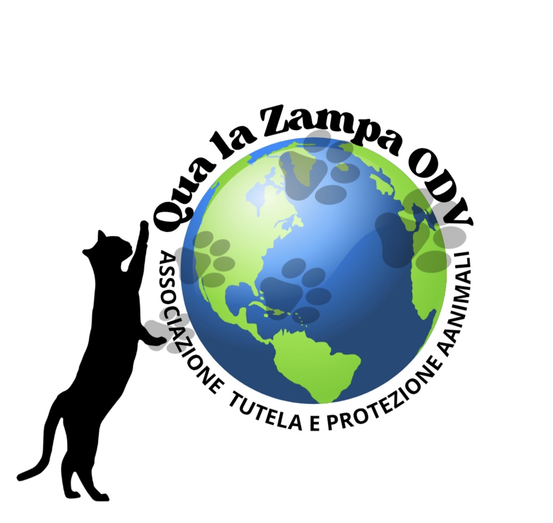 Qua La Zampa ODV (il riscatto di Luck)